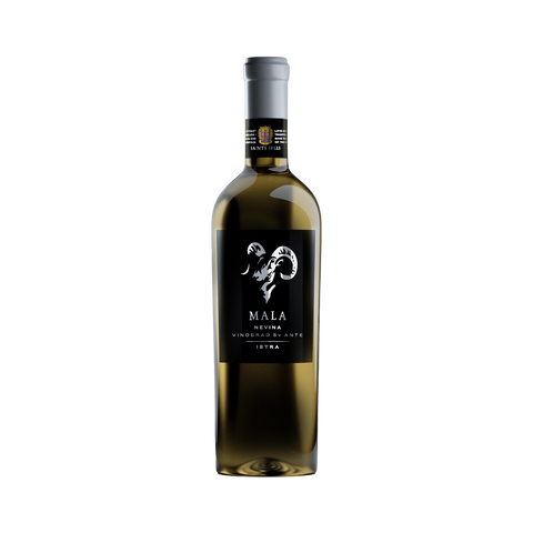 Saints Hills – NOVA Mala Nevina 2025
